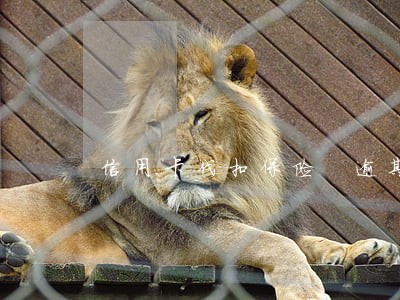 信用卡代扣保险 逾期 信用卡代扣保险 逾期